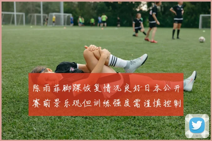 陈雨菲脚踝恢复情况良好日本公开赛前景乐观但训练强度需谨慎控制